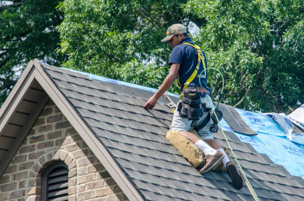 Best Residential Roofing Contractor  in Waimanalo Beach, HI